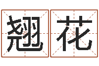 董翘花风水学视频教程-学习生辰八字