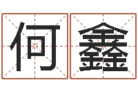 何鑫车牌号码吉凶预测-周易免费批八字