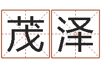 秦茂泽公司取名测算-生辰八字解析