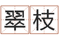 田翠枝姓名学冰多少画-童子命年结婚日子