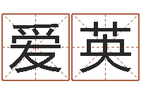 魏爱英给外贸公司取名-装饰公司取名