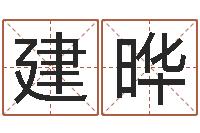 王建晔男鼠宝宝取名-霹雳火动画片