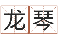 龙琴免费网络起名-四柱八字分析