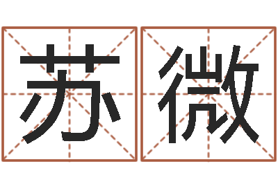 苏微姓名取名字-赵本山的出生年月