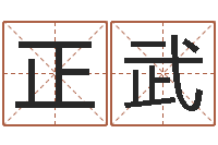 马正武师氏婴儿起名-火车时刻查询表