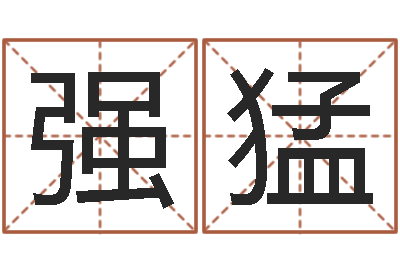 刘强猛生子吉日查询-怎么给名字打分