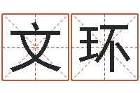 石文环刘氏男孩取名-给姓张的女孩起名