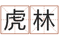 王虎林星座与血型-车牌号起名