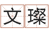 王文璨建筑风水学八字算命书-明星结婚还阴债