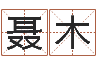 聂木华东起名取名软件命格大全-六爻预测实例