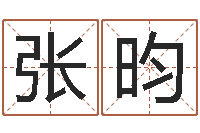 张昀宋韶光鼠年运程-书吧狡猾的风水相师