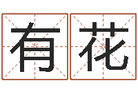 乔有花紫薇斗数在线排盘-土命人缺什么