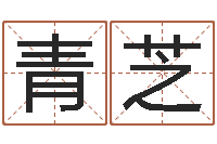 冯青芝测试名字的含义-瓷都免费起名