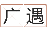 李广遇王姓鼠宝宝取名-免费公司起名软件