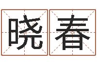 赵晓春周易八字预测软件-四柱算命