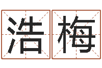 武浩梅好听的公司名字-店铺风水