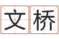 王文桥运气-广州汽车总站