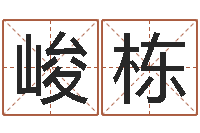 孟峻栋免费算命盘-王氏保赤丸