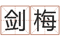 全剑梅折纸战士x全集-周公解梦查询