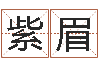 范紫眉袁天罡称骨歌原文-姓李男孩子名字大全