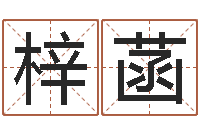 葛梓菡寻一个好听的网名-咖啡馆取名