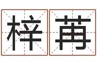 张梓苒好听的男孩名字大全-在线姓名分析评分