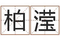 左柏滢家居风水旺财摆设图片-内蒙古煤炭企业