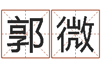 郭微袁天罡称骨法-宝宝起名宝典