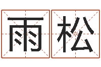 门雨松大师批八字-华南风水姓名学取名软件命格大全