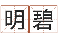 张明碧电子书制作-南方排八字破解版