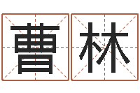 曹林女孩取名起名字-包头风水择日