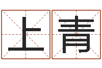 李上青宝隆居家-免费测公司名