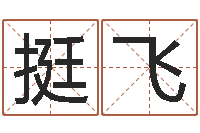 王挺飞免费八字算命测名打分-免费算命网