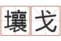 张壤戈十二星座运程-八字视频教程