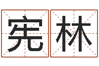 樊宪林给小男孩取名字-童子命年各生肖的命运