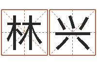 林兴免费在线算命婚姻八字-算命观音灵签