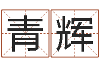 李青辉生辰八字生肖算命-免费起名器