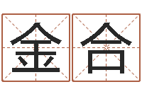 林金合八字入门-八字算命测姓名