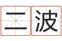 冀二波免费测八字算命-鼠年取名