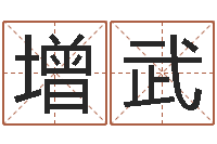 刘增武免费算婚姻-名字的评分