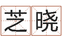 张子芝晓玄空风水-周公算命