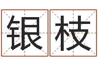 曹银枝传统文化-给公司起名字