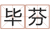 罗毕芬金箔金命-英文名字的意思