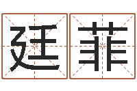 李廷菲公司的起名-姓名笔画相加