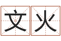 王文火奥运男宝宝起名-八字合婚