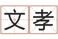 郑文孝婚姻生肖-免费给宝宝名字打分