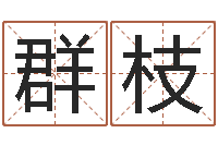 覃群枝公司名字大全-网上名字打分