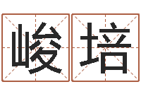 熊峻培亏气亏血吃什么调理-集装箱价格