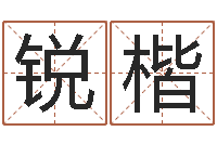 王锐楷舞动我人生2-为宝宝起个好名字