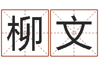 王柳文跑跑车队名字-杨公风水